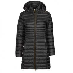Vêtements Femme Doudounes Geox JAYSEN Noir