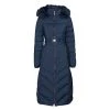 Vêtements Femme Doudounes Guess CATERINA DOWN JACKET Bleu clair -Manteaux Soldes Magasin 19799839 500 A