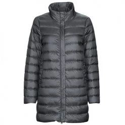 Vêtements Femme Doudounes Geox W JAYSEN COAT Gris
